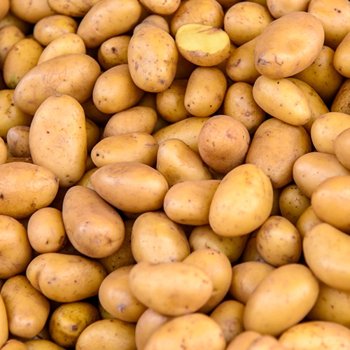 Pommes de terre jaune Bio Alliance 1kg