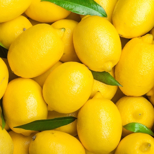 Citrons Bio jaunes 500g