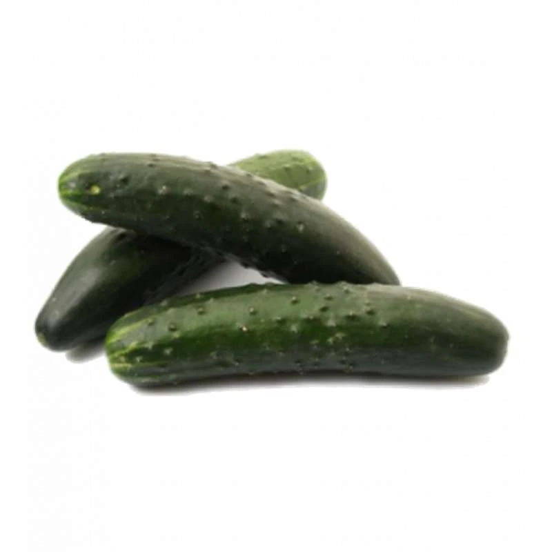 Concombre court bio (500g)