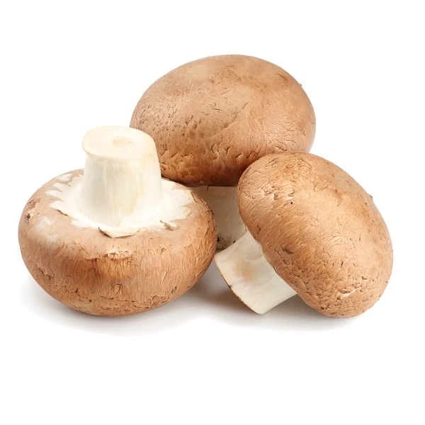 Champignons bruns bio (250g)