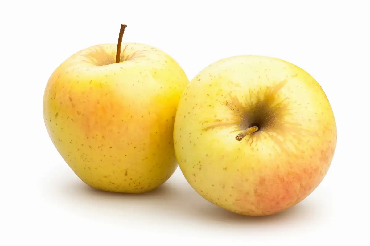 Pommes Goldrush 3 année de conversion Bio (500g)