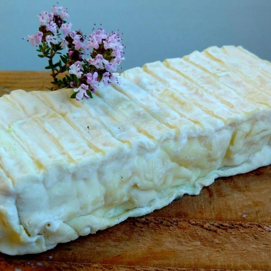 Brique Bio affinée ou cendrée (pièce)