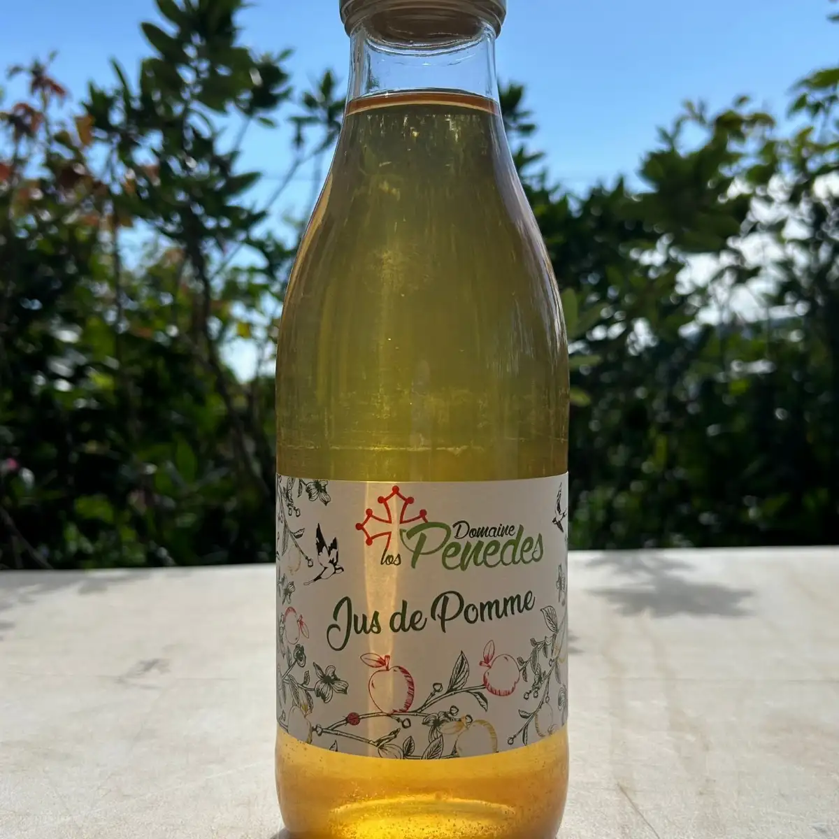 Jus de pommes (1 L)