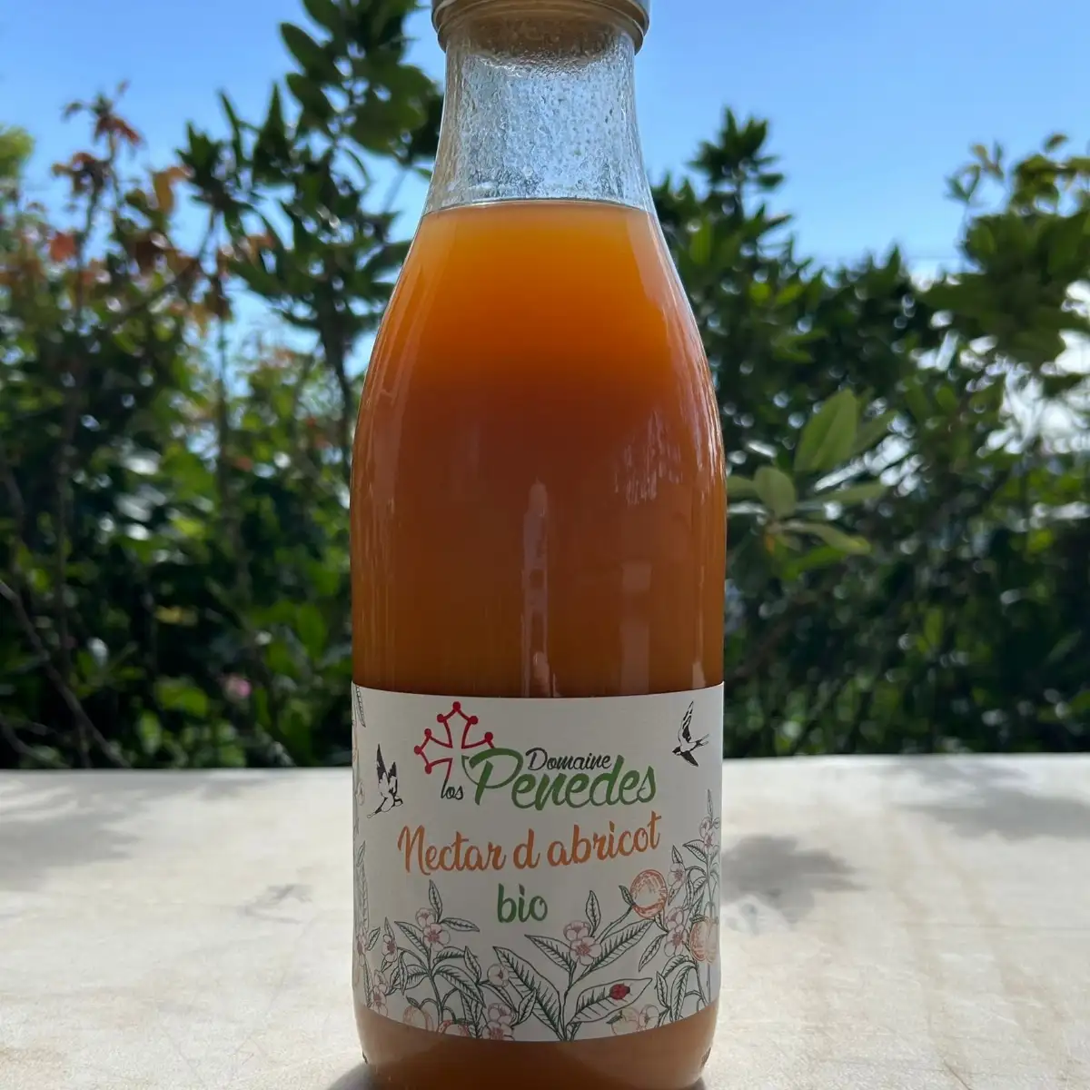 Nectar d'abricot Bio (1 L ou 25 cl)