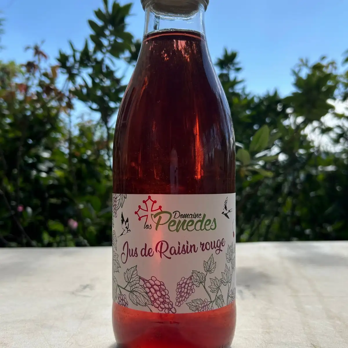 Jus de raisin rouge (1 L)