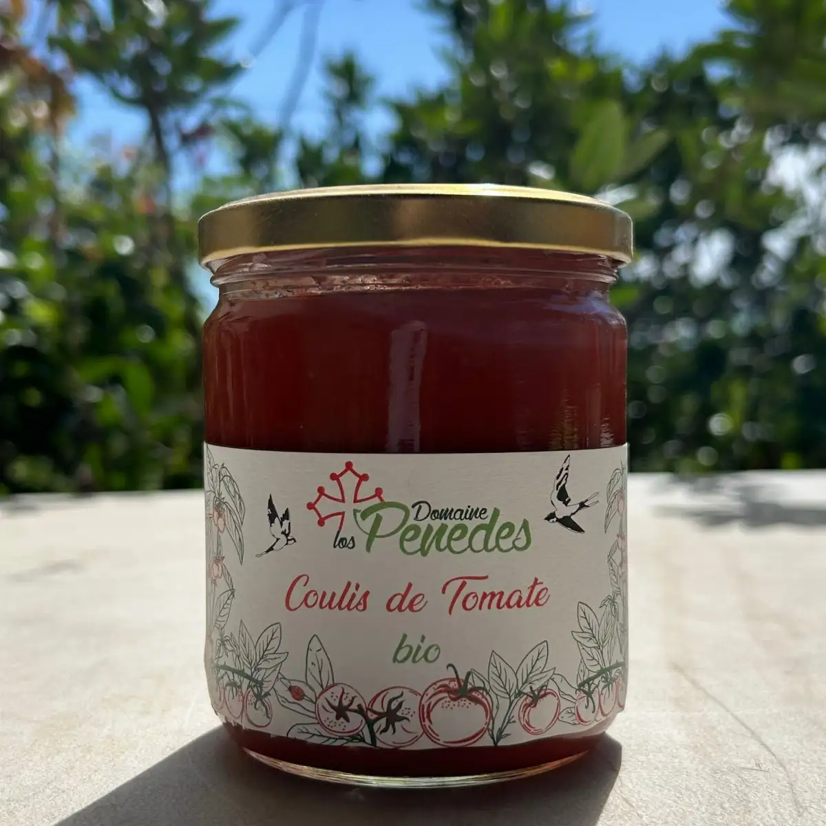 Coulis de tomates Bio Nature ou Basilic (400g)