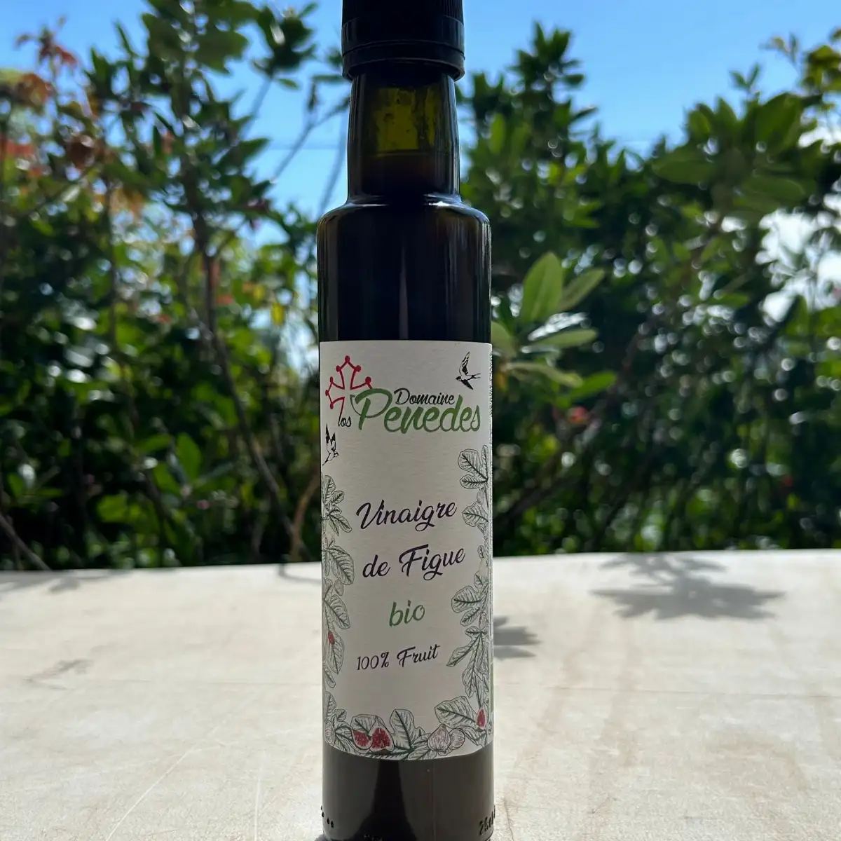 Vinaigre de figue 100% fruits (25cl)
