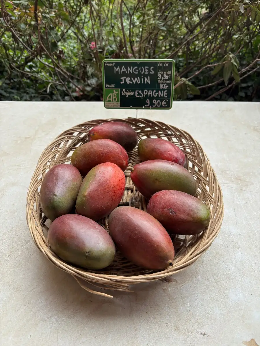 ManguesBio (500g)